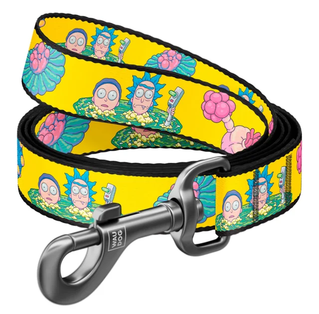 Поводок Waudog Nylon для собак, рисунок "Рик и Морти 1", нейлоновый, размер M, 20 мм, 122 см