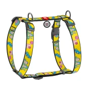 Шлея Waudog Nylon c QR-паспортом для собак, анатомическая, рисунок "Рик и Морти 1", размер S, 30-40/30-50 cм