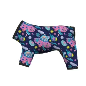 Дождевик Waudog Clothes для собак, рисунок "Рик и Морти 1", S40