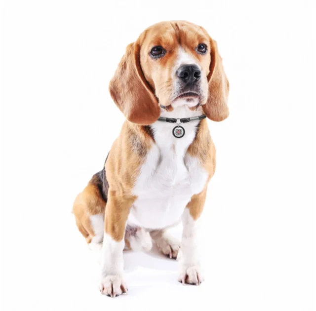 Шнурок для адресника Waudog Smart ID из паракорда, светоотражающий, размер S, 4 мм/25-45 см, чёрный