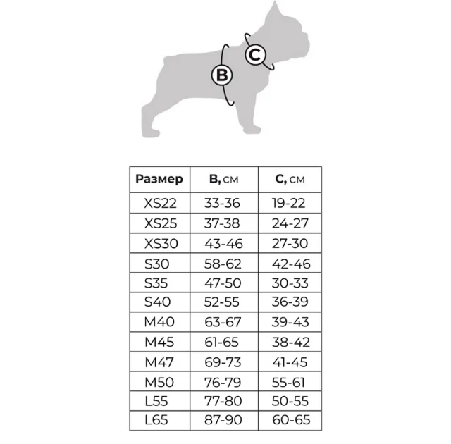 Курточка Waudog Clothes для собак, рисунок "Рик и Морти 1", S40