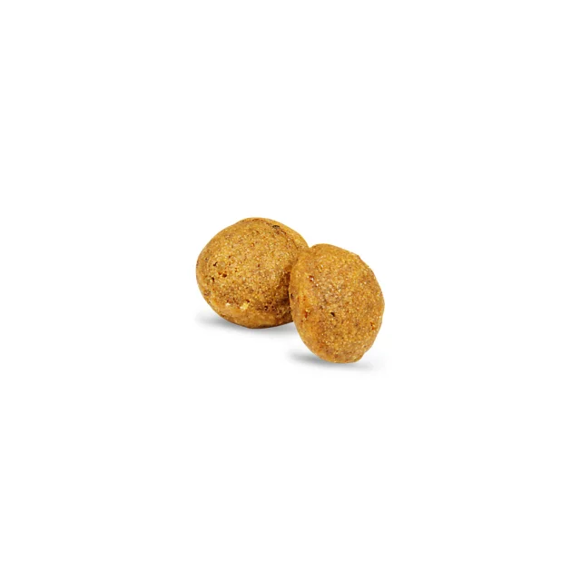Сухий корм VeggieDog Origin Adult Red Lentil для дорослих собак, червона сочевиця, 900 г