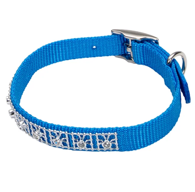 Нашийник Coastal Jeweled для собак, блакитна лагуна, 1×25 см