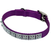 Нашийник Coastal Jeweled для собак, пурпурний, 1×25 см