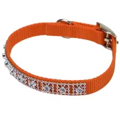 Ошейник Coastal Jeweled для собак, оранжевый, 1×30 см