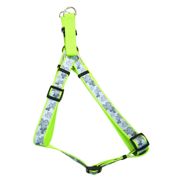 Cветоотражающая шлея Coastal Lazer для собак, салатовый, 1.6 см×48-66 см