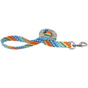 Нейлоновий поводок Coastal Pet Attire для собак, 1×1.8 см