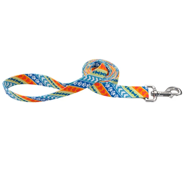 Нейлоновый поводок Coastal Pet Attire для собак, 1×1.8 см