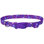 Ошейник Coastal Pet Attire Style для собак, лапка, 1×12-30 см