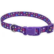 Нашийник Coastal Pet Attire Style для собак, фіолетовий, 2×35-50 см