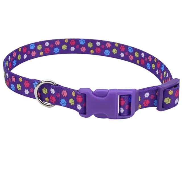 Нашийник Coastal Pet Attire Style для собак, фіолетовий, 2×35-50 см