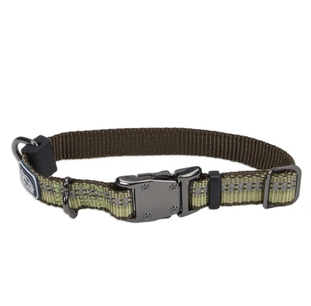 Нейлоновый ошейник Coastal K9 Explorer для собак, зеленый, 1.6×20-30 см
