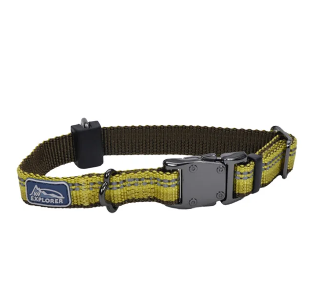 Нейлоновий нашийник Coastal K9 Explorer для собак, жовтий, 2.5×30-45 см