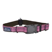 Нейлоновый ошейник Coastal K9 Explorer для собак, розовый, 2.5×30-45 см