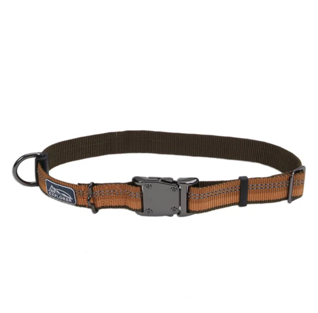 Нейлоновий нашийник Coastal K9 Explorer для собак, помаранчевий, 2.5×30-45 см