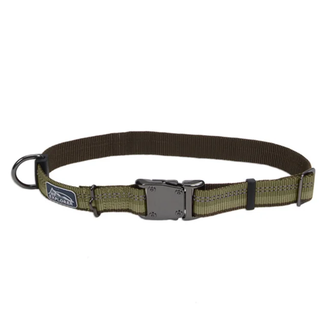 Нейлоновий нашийник Coastal K9 Explorer для собак, зелений, 2.5×45-65 см