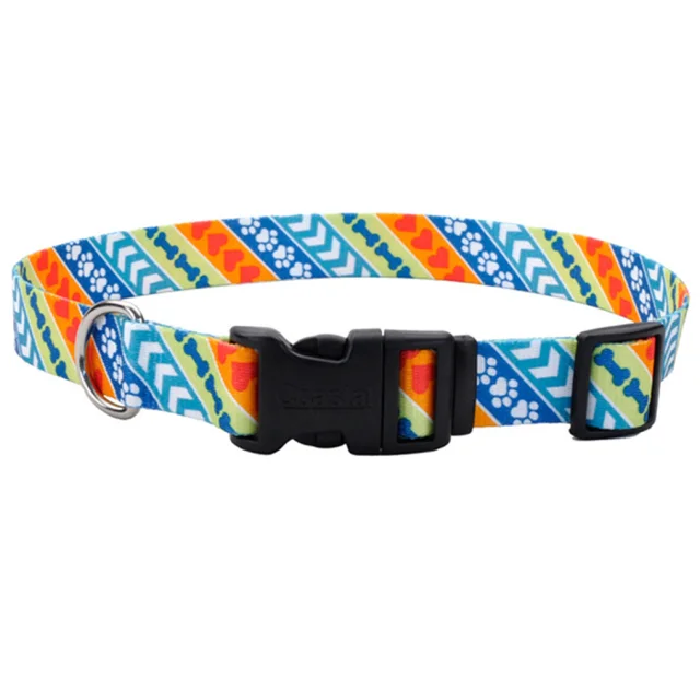 Ошейник Coastal Pet Attire Style для собак, разноцветный
