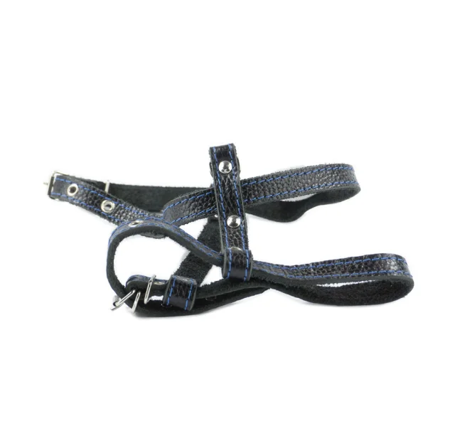 Шлейка Cristel для собак, кожа зенит, лакированная, прошитая, 12 мм / 32 см / 38-48 см, чёрный