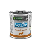Влажный Farmina Vet Life Convalescence для собак, диета для восстановления питания и выздоровления, 300 г