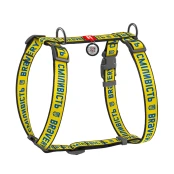 Шлея Waudog Nylon c QR-паспортом для собак, анатомическая, рисунок "Смелость", размер L, 50-90/60-100 см