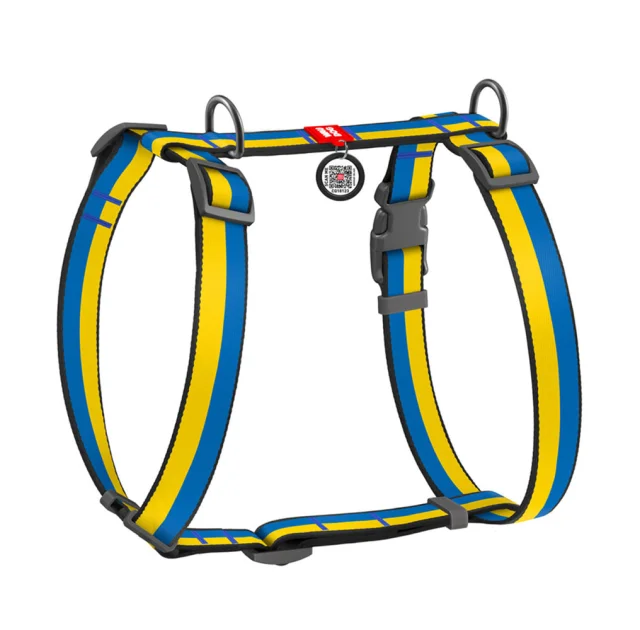 Шлея Waudog Nylon c QR-паспортом для собак, анатомическая, рисунок "Colors of freedom", размер M, 40-70/50-80 см