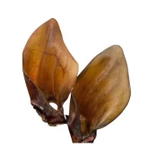 Лакомство Salutis Уши говяжьи, для собак, 2 штуки в упаковке