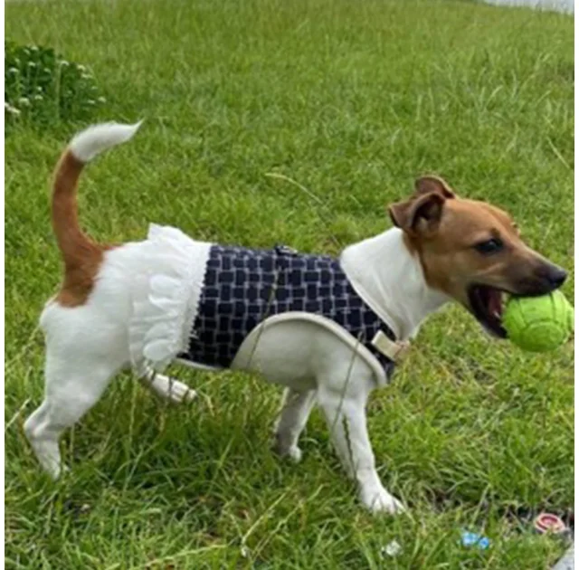 Набор Animall  поводок и шлея для собак, платье, 1.5×120 см