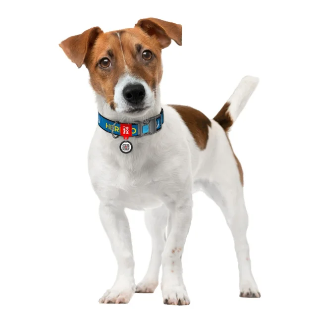 Нашийник Waudog Nylon c QR паспортом, для собак, малюнок "Патрон", пластиковий фастекс, розмір L, 25 мм/31-49 см