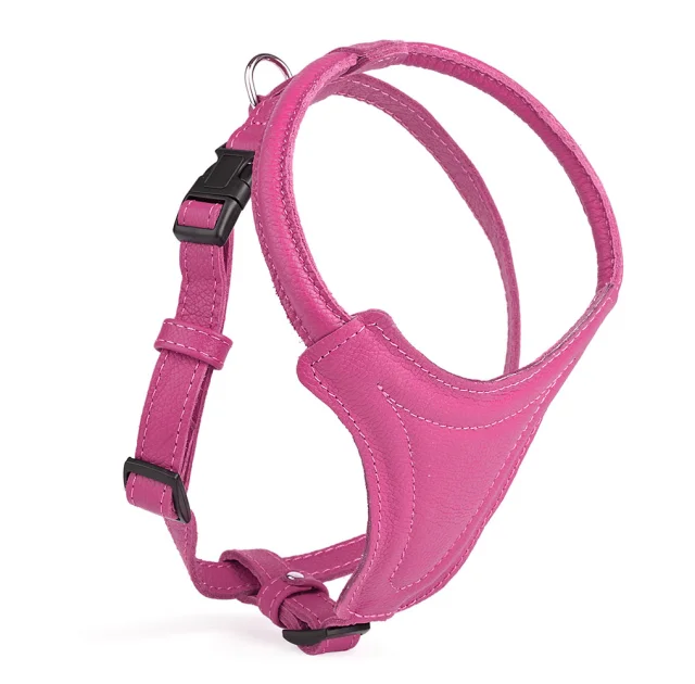 Шлея Kareline для собак маленьких и средних пород, из мягкой кожи, с грудиной и пластиковой пряжкой, 2 см/51 см/54-62 см