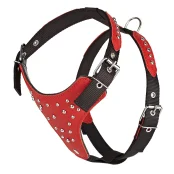 Шлея Kareline для собак, из нейлона и мягкой кожи, с украшением "шип", 2.5 см/52-60 см/58-68 см