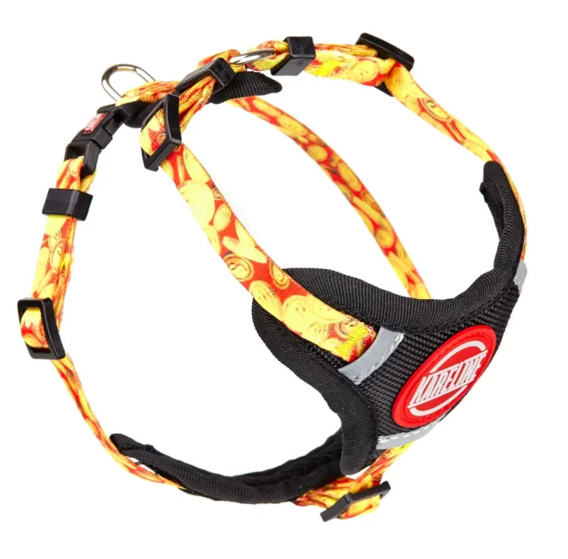 Шлея Kareline для собак, нейлон, с логотипом и пластиковой пряжкой, узор Money, 1.5 см/32-48 см/40-50 см