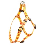 Шлея Kareline для собак, нейлон, з пластиковою пряжкою, візерунок Money, 2 см/40-56 см/44-62 см