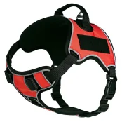 Шлея Kareline Quest світловідбивна для собак великих порід, нейлон, L, 81×101.5 см