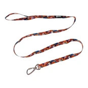 Повідець AnimAll LH-T001A для собак, L-2, 2.5×120 см