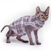 Кофта без рукавів Style Pets GUCH для котів, в клітинку, розмір XL+