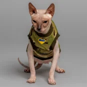 Майка Style Pets Multikam для котів, принт, розмір XXL