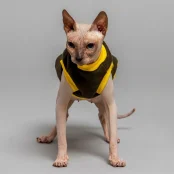 Майка Style Pets Classic khaki для котів, розмір L+