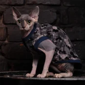 Майка Style Pets Сamo blue для котів, розмір L+