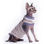 Кофта без рукавів Style Pets Scat для котів, розмір XL-