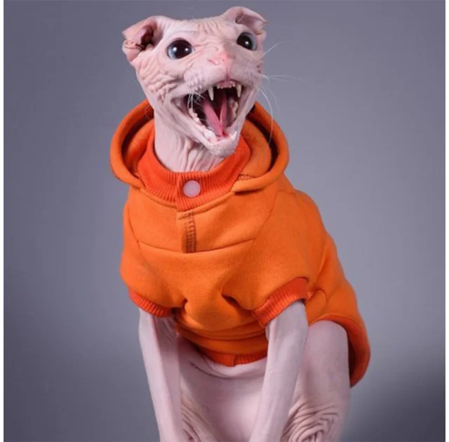 Кофта с рукавами Style Pets Squash для кошек, размер XS