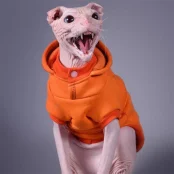 Кофта з рукавами Style Pets Squash для котів, розмір L+