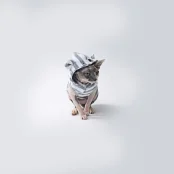 Майка Style Pets GUMMI для котів, з вушками, розмір M