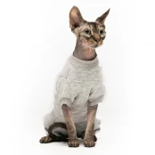Боді Style Pets Steya для котів, колір сірий, розмір L+