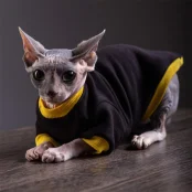 Кофта Style Pets Classic black для котів, розмір M-