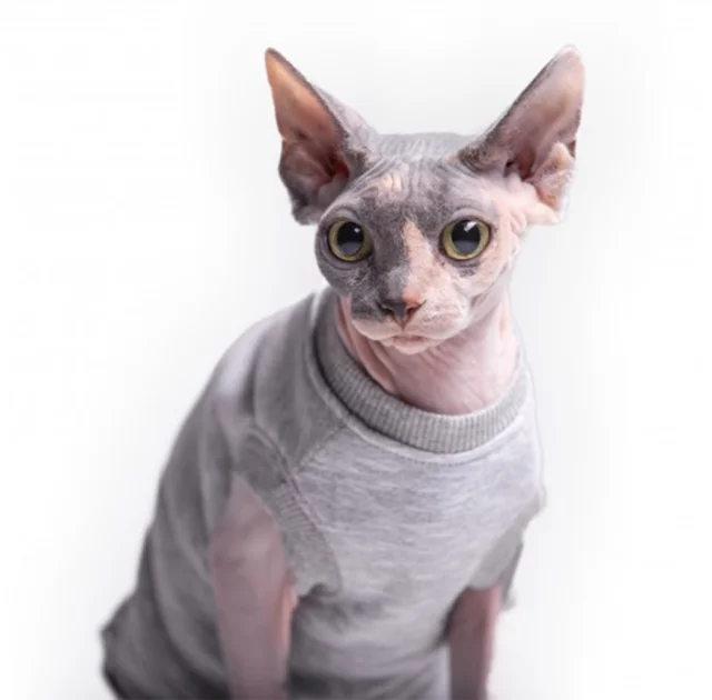 Майка без рукава Style Pets Martin для котів, розмір L+