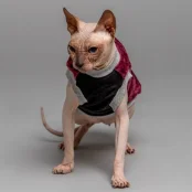Майка Style Pets FaceSPM для котів, колір марсала, розмір XS