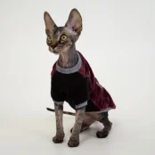 Кофта Style Pets FaceSPM для котів, колір марсала, розмір XL-