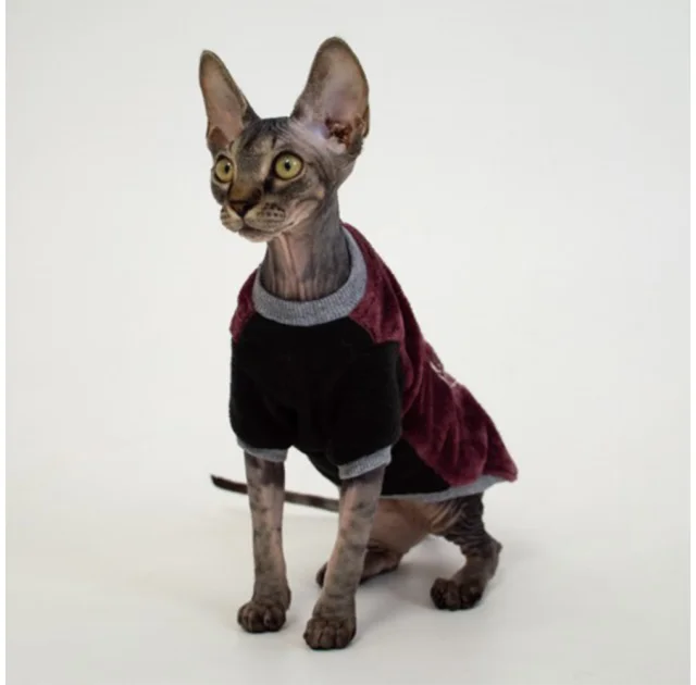 Кофта Style Pets FaceSPM для котів, колір марсала, розмір XL-