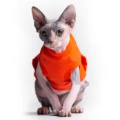 Майка Style Pets TVIXI для котів, колір помаранчевий, розмір M+
