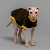Кофта Style Pets Classic khaki для котів, розмір L